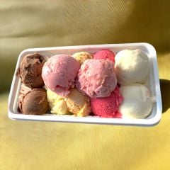 Doğal Sahlepli KARIŞIK Dondurma (500gr.)